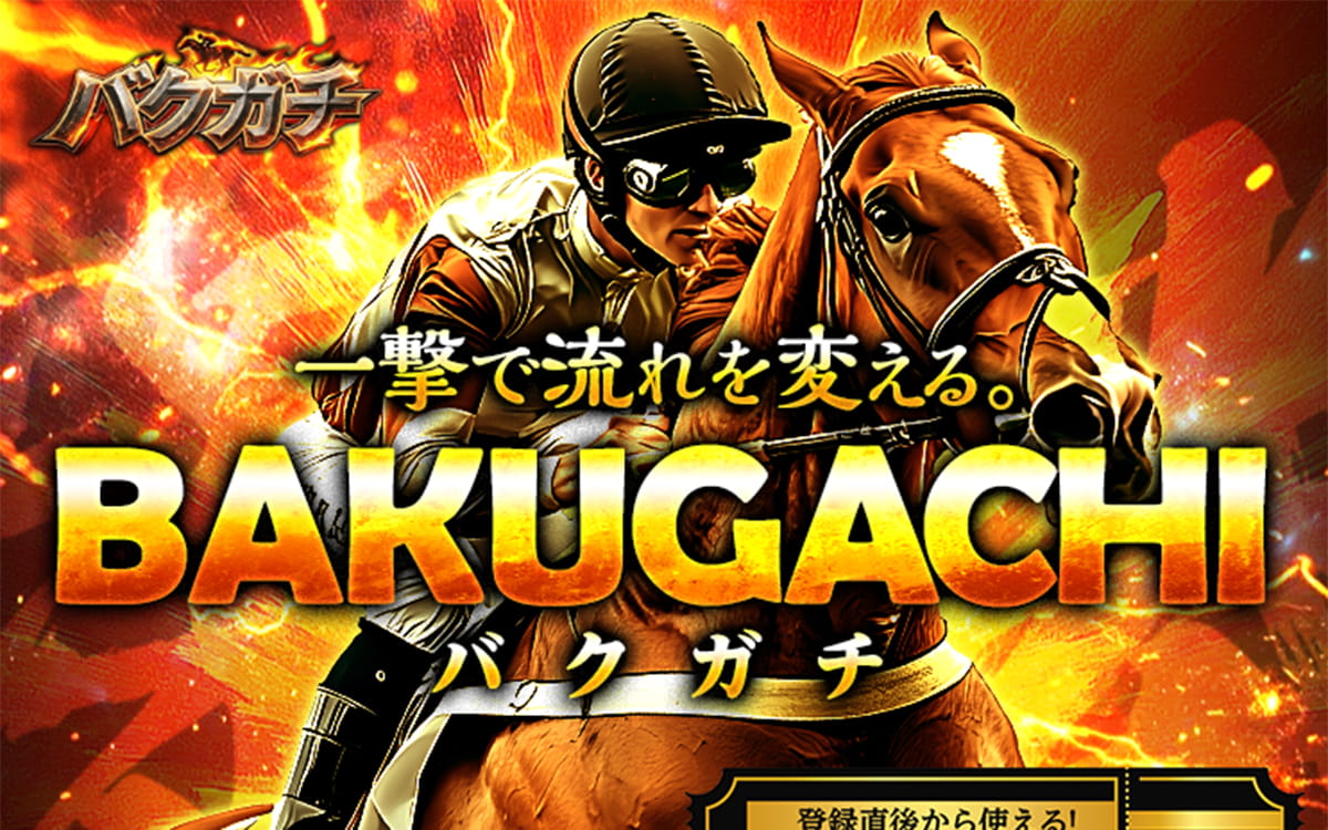 バクガチ サイトイメージ